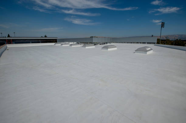 Best Roof Replacement  in Altoona, WI