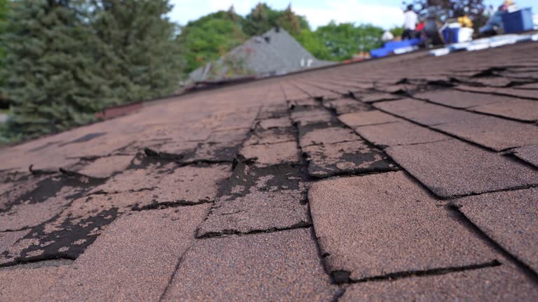 Best Asphalt Shingles Roofing  in Altoona, WI